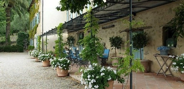 plante grimpante pergola